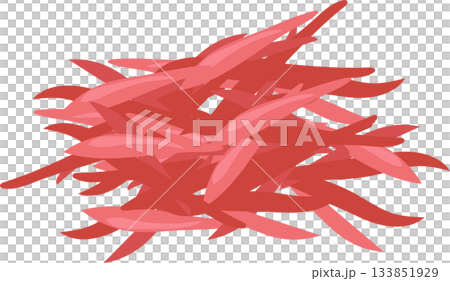 asian cuisine ingredient pink pickled ginger illustration for food 133851929