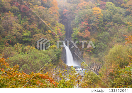 紅葉の梅ヶ島温泉赤木の滝	 133852044