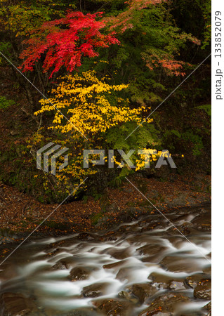 紅葉の梅ヶ島温泉 133852079
