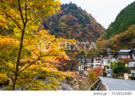 紅葉の梅ヶ島温泉 133852080