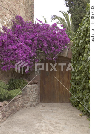 entrance door decorated with plants and flowers 133852306