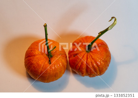 Two fresh ripe tangerines with stems on white 133852351
