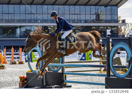 東京都世田谷区 馬事公苑 ジャパン ブリーディング 障害馬術 ホースショー 東京都世田谷区 馬事公苑 ジャパン ブリーディング 障害馬術 ホースショー 133852646