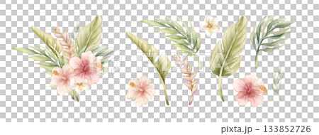 Tropical Hibiscus Heliconia Palm Leaves. Exotic African jungle pink flower plants. Watercolor hand painted summer floral isolated illustration on white background cute kids nursery design sticker baby 133852726