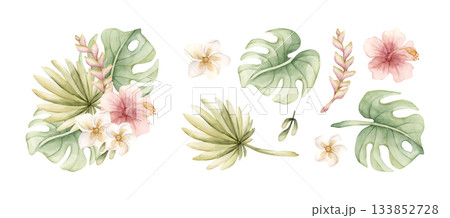 Tropical Hibiscus Plumeria Heliconia Monstera leaves. Exotic African jungle pink flowers plants. Watercolor hand painted summer floral isolated illustration on white background cute kids nursery baby 133852728
