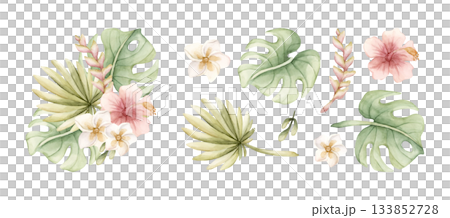 Tropical Hibiscus Plumeria Heliconia Monstera leaves. Exotic African jungle pink flowers plants. Watercolor hand painted summer floral isolated illustration on white background cute kids nursery baby 133852728