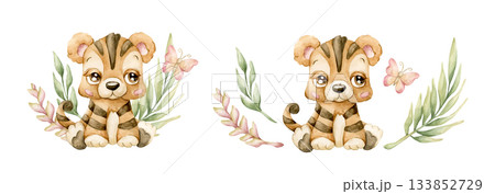 Cute Tiger with Tropical Leaves Butterfly Safari African animal. Watercolor hand painted illustration isolated on white background for exotic jungle design kids nursery wall stickers baby shower card 133852729