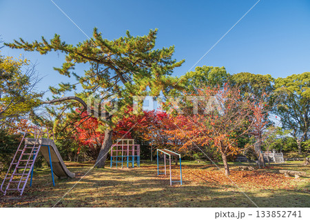 晩秋の淀城跡公園 京都市伏見区 晩秋の淀城跡公園 京都市伏見区 133852741