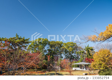 晩秋の淀城跡公園　京都市伏見区　 133852754