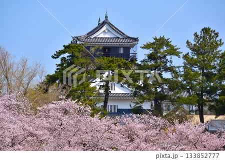 桜景　岡崎城 133852777