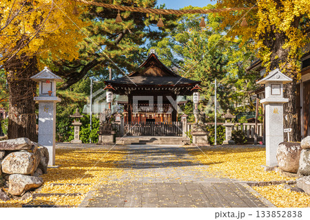 晩秋の淀城跡公園　稲葉神社　京都市伏見区　 133852838