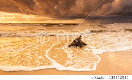 Golden sunset and tree root on beach Golden sunset and tree root on beach 133852913