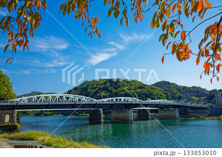 木曽川の川原より犬山城を望む 133853010