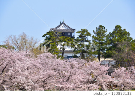 桜景　岡崎城 133853132