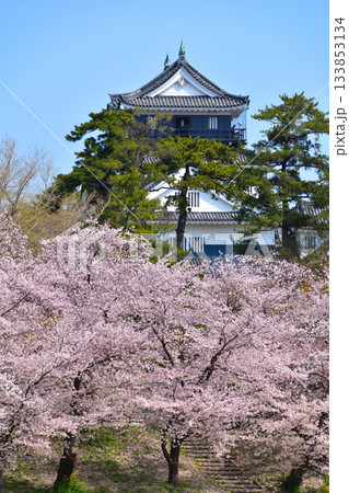 桜景　岡崎城 133853134