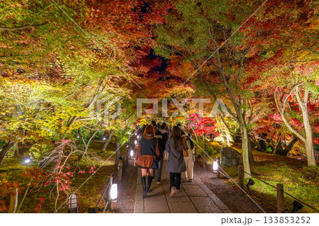 京都　南禅寺・永観堂の紅葉ライトアップ 133853252