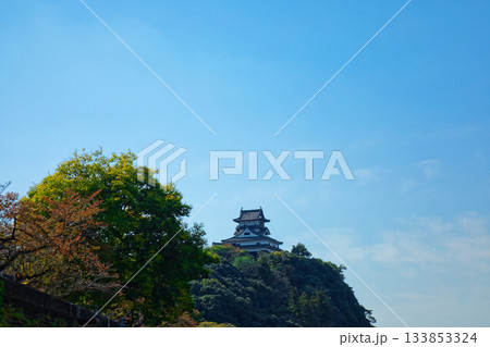 木曽川遊歩道より犬山城を望む 133853324