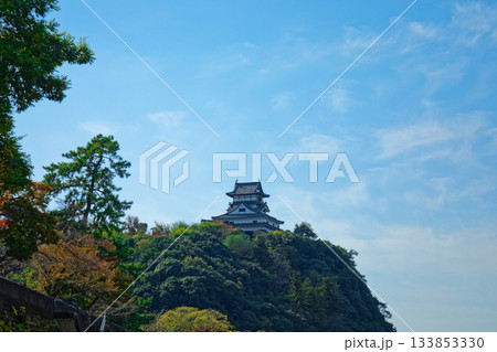 木曽川遊歩道より犬山城を望む 133853330