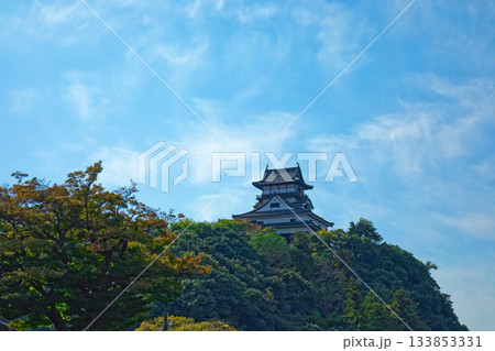木曽川遊歩道より犬山城を望む 133853331