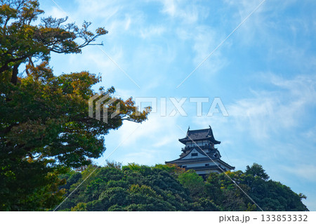 木曽川遊歩道より犬山城を望む 133853332