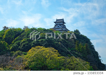 木曽川遊歩道より犬山城を望む 133853334