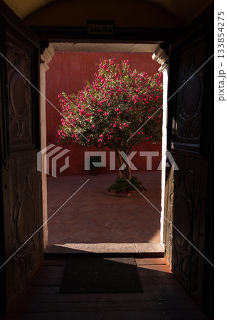 A tree with pink flowers is in front of a building with a sign that says Salida A tree with pink flowers is in front of a building with a sign that says Salida 133854275