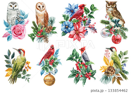 Watercolor forest Birds Collection with Holly, Flowers, Pine Cones and Winter Botanical Elements, holiday postcard 133854462