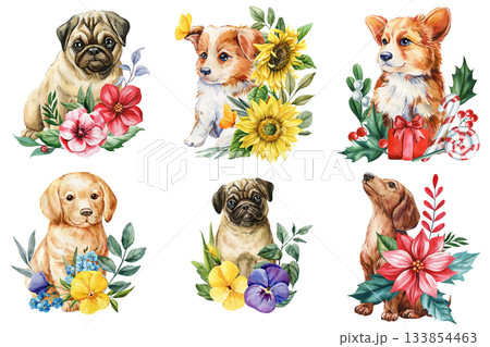 Cute puppy collection with floral bouquets sunflowers pansies poinsettia and winter festive elements in watercolor illustrations Cute puppy collection with floral bouquets sunflowers pansies poinsettia and winter festive elements in watercolor illustrations 133854463