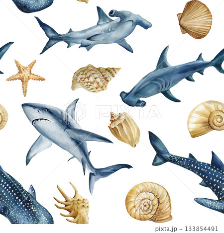 Shark hammerhead whale shark seashell watercolor marine pattern with starfish and ocean shells for coastal sea design 133854491