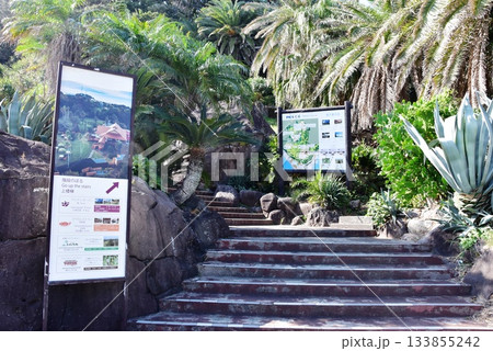 熱海市 初島の周遊路と観光案内板 熱海市 初島の周遊路と観光案内板 133855242