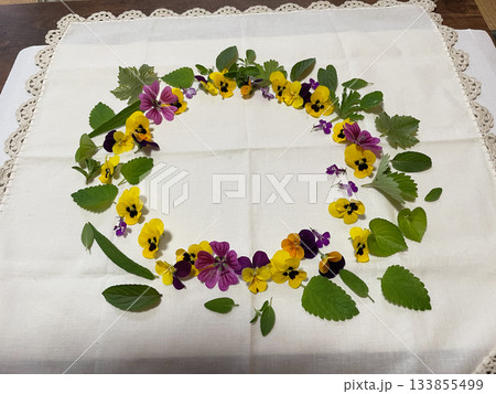 花あそび・庭で咲いたビオラと葉っぱのたたき染め 花あそび・庭で咲いたビオラと葉っぱのたたき染め 133855499