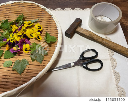 花あそび・庭で咲いたビオラと葉っぱのたたき染め 133855500