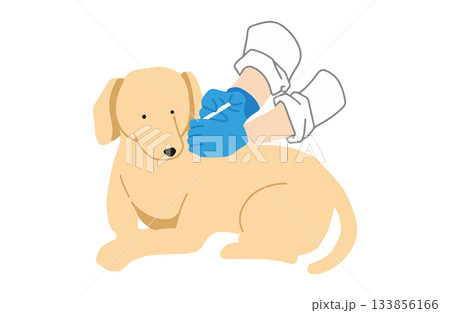 ワクチンを打つ 手書きイラスト 犬 ラブラドールレトリバー 主線なし ワクチンを打つ 手書きイラスト 犬 ラブラドールレトリバー 主線なし 133856166
