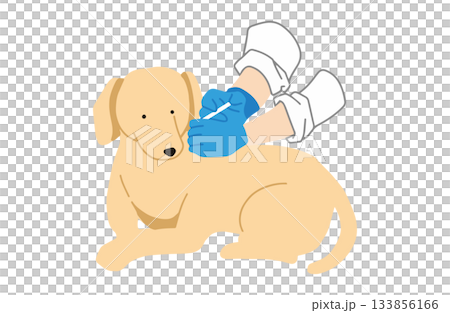 ワクチンを打つ 手書きイラスト 犬 ラブラドールレトリバー 主線なし ワクチンを打つ 手書きイラスト 犬 ラブラドールレトリバー 主線なし 133856166