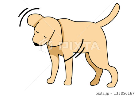 ぶるぶるをする 手書きイラスト 犬 ラブラドールレトリバー 主線あり ぶるぶるをする 手書きイラスト 犬 ラブラドールレトリバー 主線あり 133856167