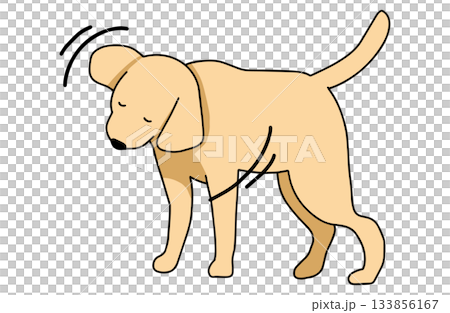 ぶるぶるをする 手書きイラスト 犬 ラブラドールレトリバー 主線あり ぶるぶるをする 手書きイラスト 犬 ラブラドールレトリバー 主線あり 133856167