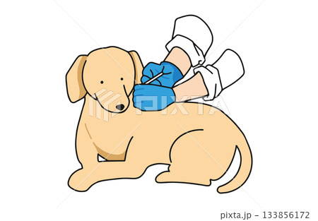 ワクチンを打つ　手書きイラスト　犬　ラブラドールレトリバー　主線あり 133856172