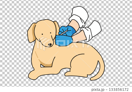 ワクチンを打つ　手書きイラスト　犬　ラブラドールレトリバー　主線あり 133856172