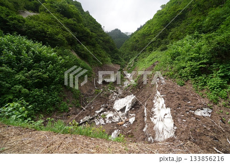 雑魚川林道で、鳥甲山からの沢を横切る場所にあった雪の塊　2025年8月6日 133856216