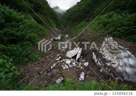 雑魚川林道で、鳥甲山からの沢を横切る場所にあった雪の塊 2025年8月6日 雑魚川林道で、鳥甲山からの沢を横切る場所にあった雪の塊 2025年8月6日 133856218