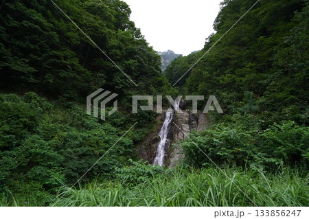 長野県切明温泉近くを通る雑魚川林道の沢から鳥甲山方面を見る　2025年8月6日 133856247