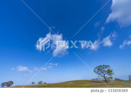 秋空と雲と草原 133856369