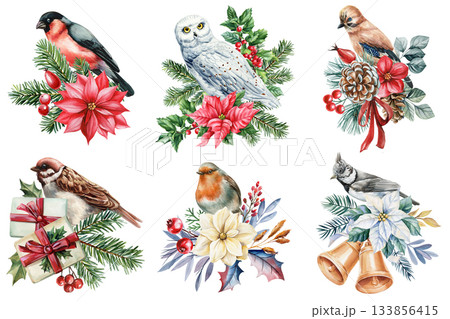 Watercolor birds with winter flowers holly berries pine branches festive holiday botanical illustration set Watercolor birds with winter flowers holly berries pine branches festive holiday botanical illustration set 133856415