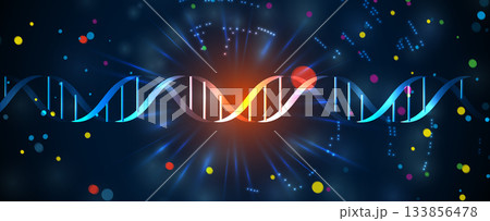 Molecule model with hexagons, DNA strands, connected neural web Molecule model with hexagons, DNA strands, connected neural web 133856478
