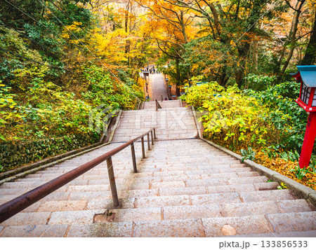 石段と紅葉 石段と紅葉 133856533