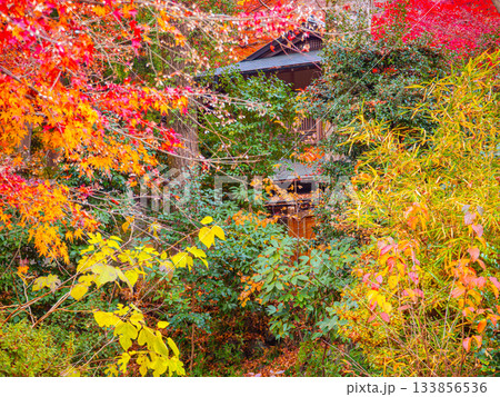 紅葉に囲まれた家 133856536