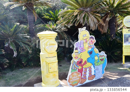 熱海市　初島レモンポストと初島周遊路 133856544