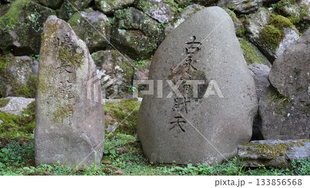 日本庭園 日本庭園 133856568
