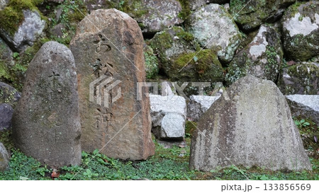 日本庭園 日本庭園 133856569