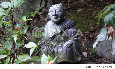日本庭園 日本庭園 133856576